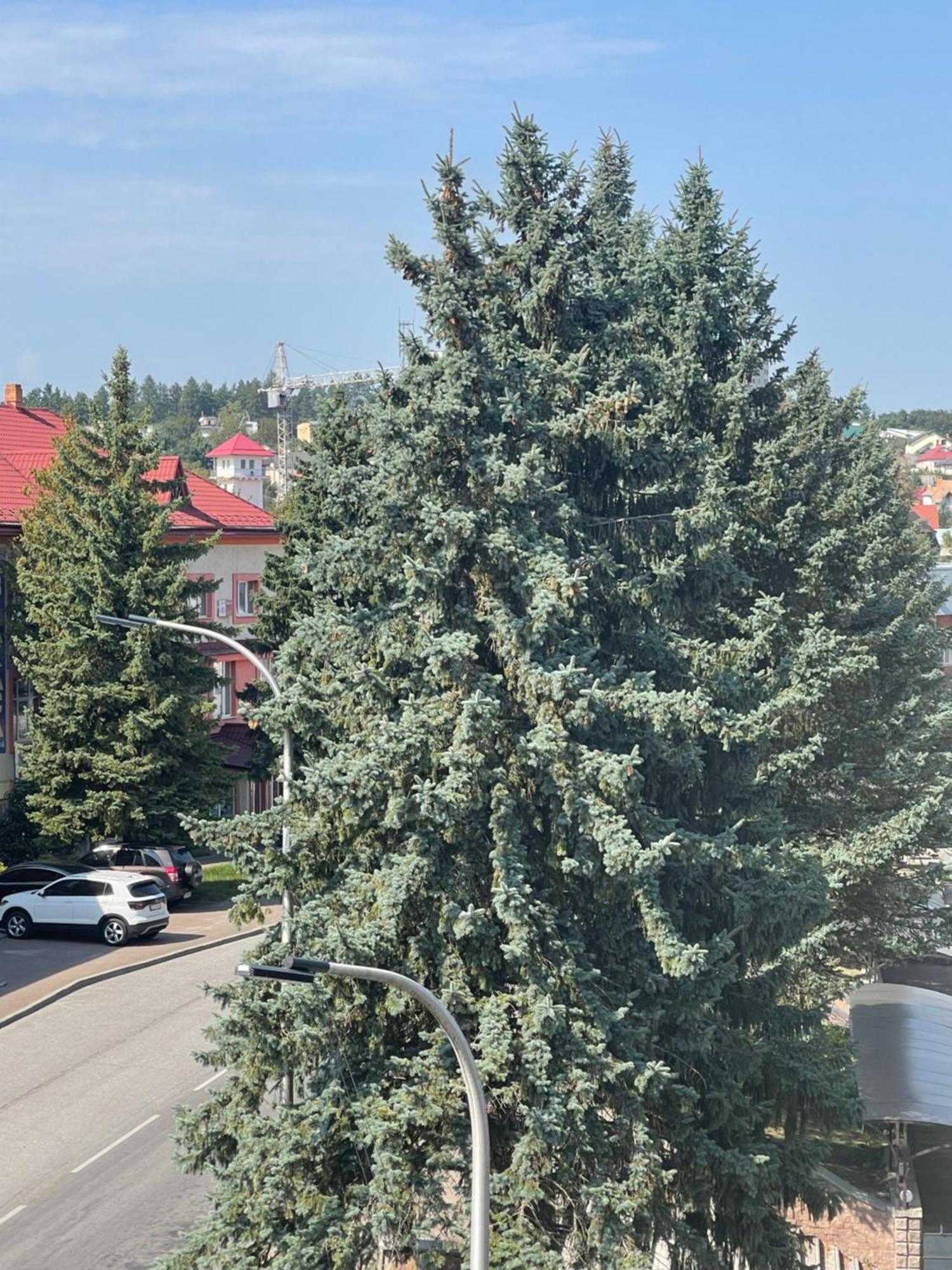 Hotel Villa Sofia Truskavets Exteriör bild